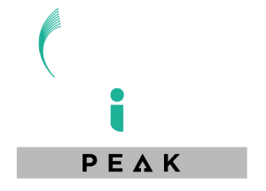 Flexibiz-peak-small.png
