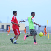 IMG 6330