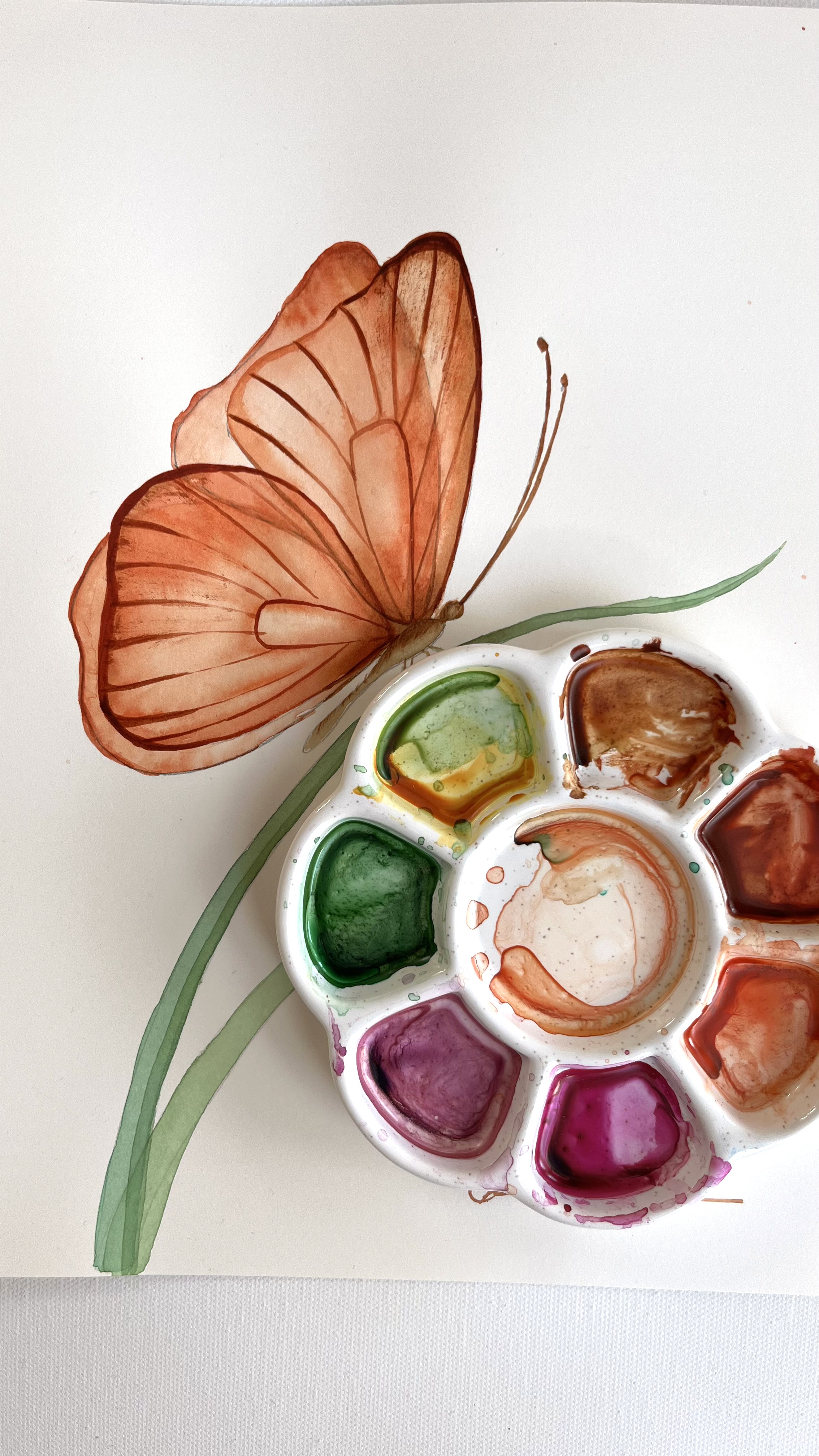 Butterfly 2