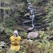 IMG 4464