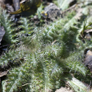 DSC9468
