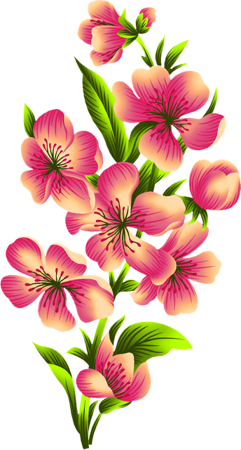 74a11ec99b2d466e68bbe2cef5a75c83.png
