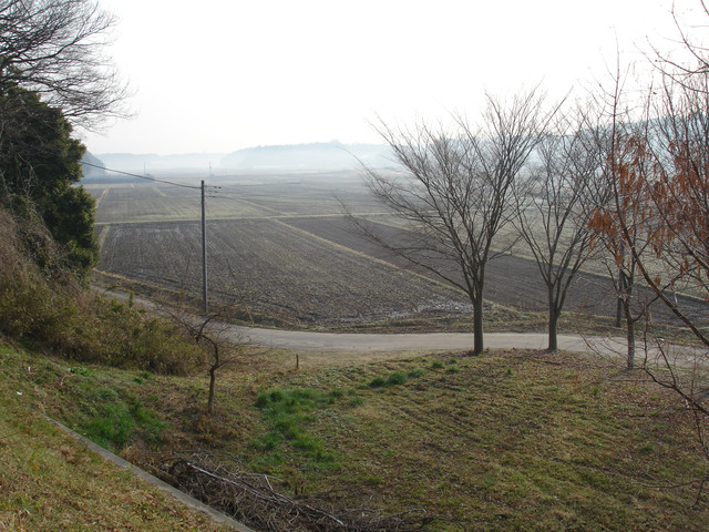 2009-03-17-064