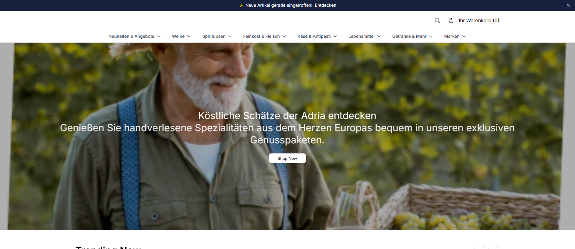 Stored capture of adriastoreonline.shop