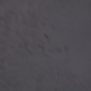 IMG 1488