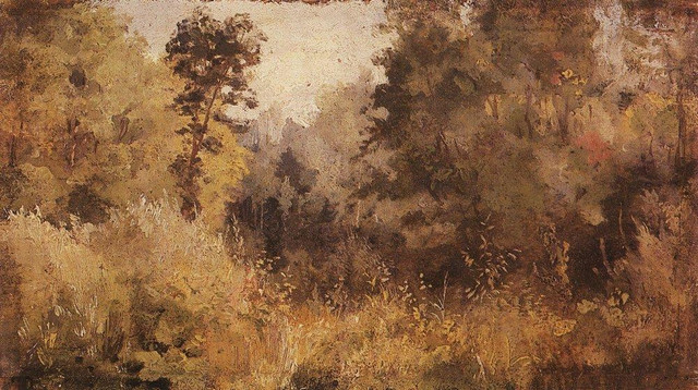Парк в Ольшанке 1877