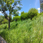 IMG 20260509 120200