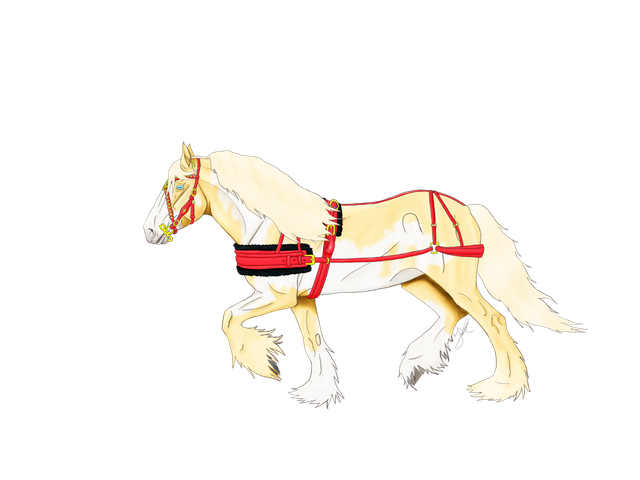 Untitled-85.png