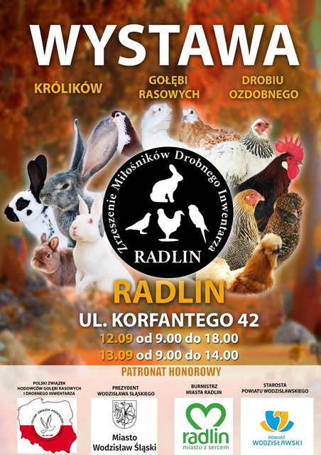 PLAKAT-JESIENNA-WYSTAWA-RADLIN-2026-900px
