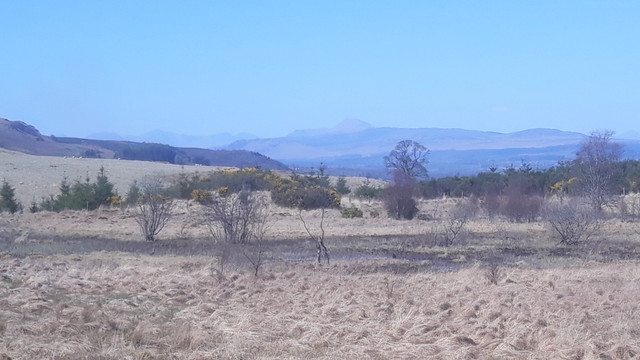 116-Distant-Ben-Lomond