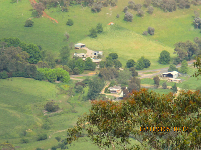 IMG 0036.jpg