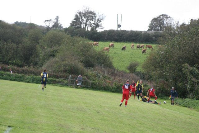 IMG 2631.jpg
