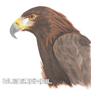 Painting4