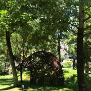 IMG-0789