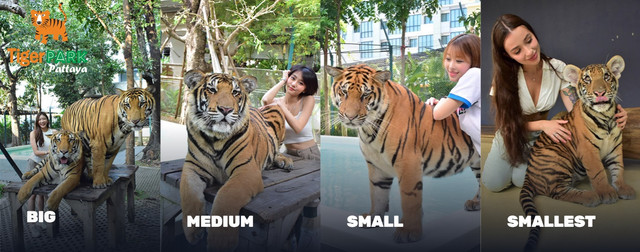 Compare-Size