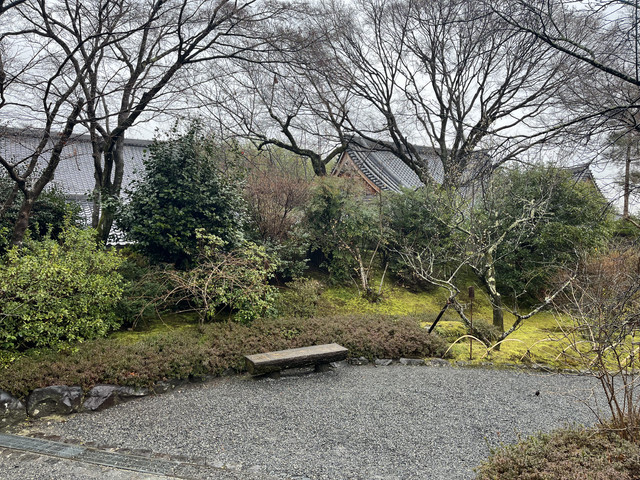 IMG-2782.jpg