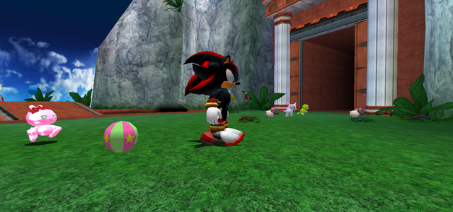 Coral-chase-ball.png