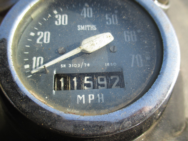 IMG-3807.jpg