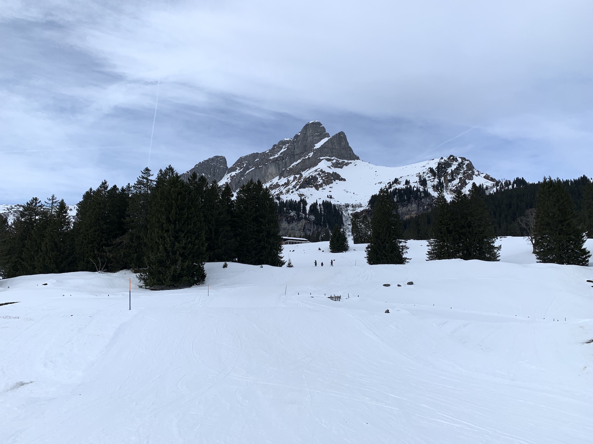 IMG-3896.jpg