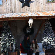 IMG-6372