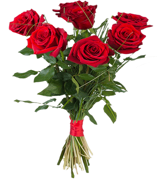 ramos-rosas.png