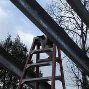 IMG-1283