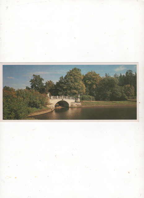 img798