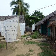 P1080655