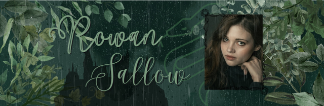 Rowan-sallow-banner-2