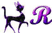 r.gif