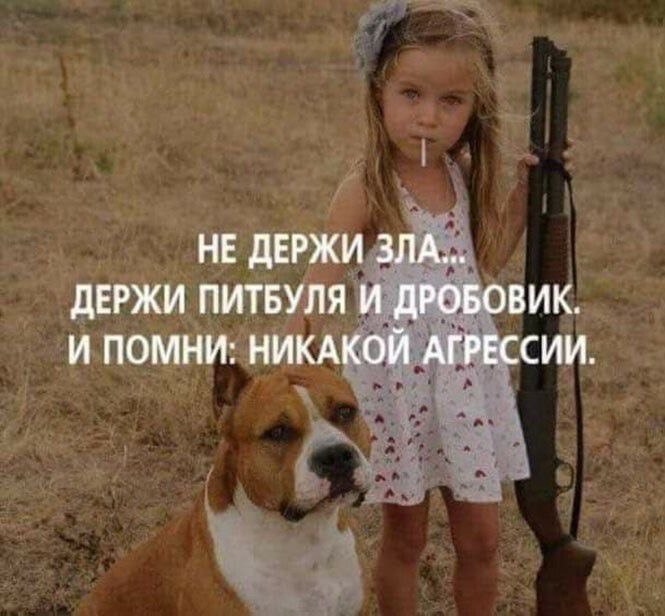 [image]