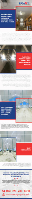 Keeping Horse Riding Stable Clean and Sanitised with PVC Wall Panels.jpg