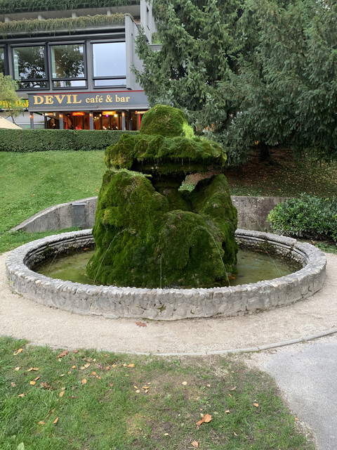 IMG-9931.jpg