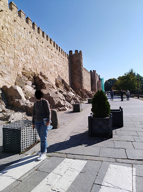 Dia 5. Avila y regreso. Martes 12 de julio. - Escapada castellana 2021 (16)