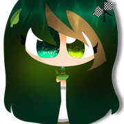 Misty-Forest