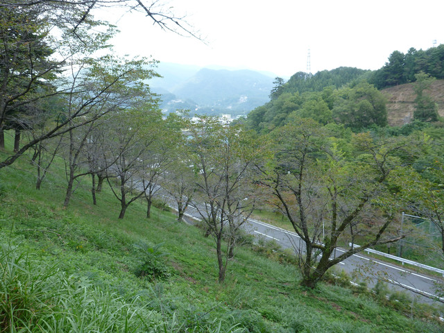 2012-10-06-042
