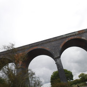 DSCF7619