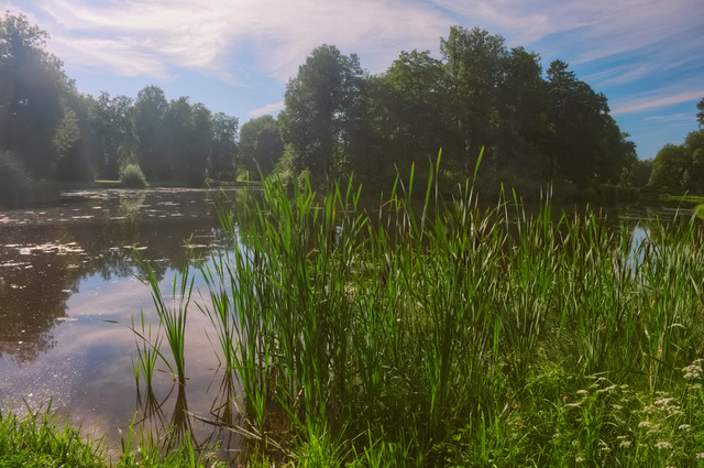 DSCF5149.jpg