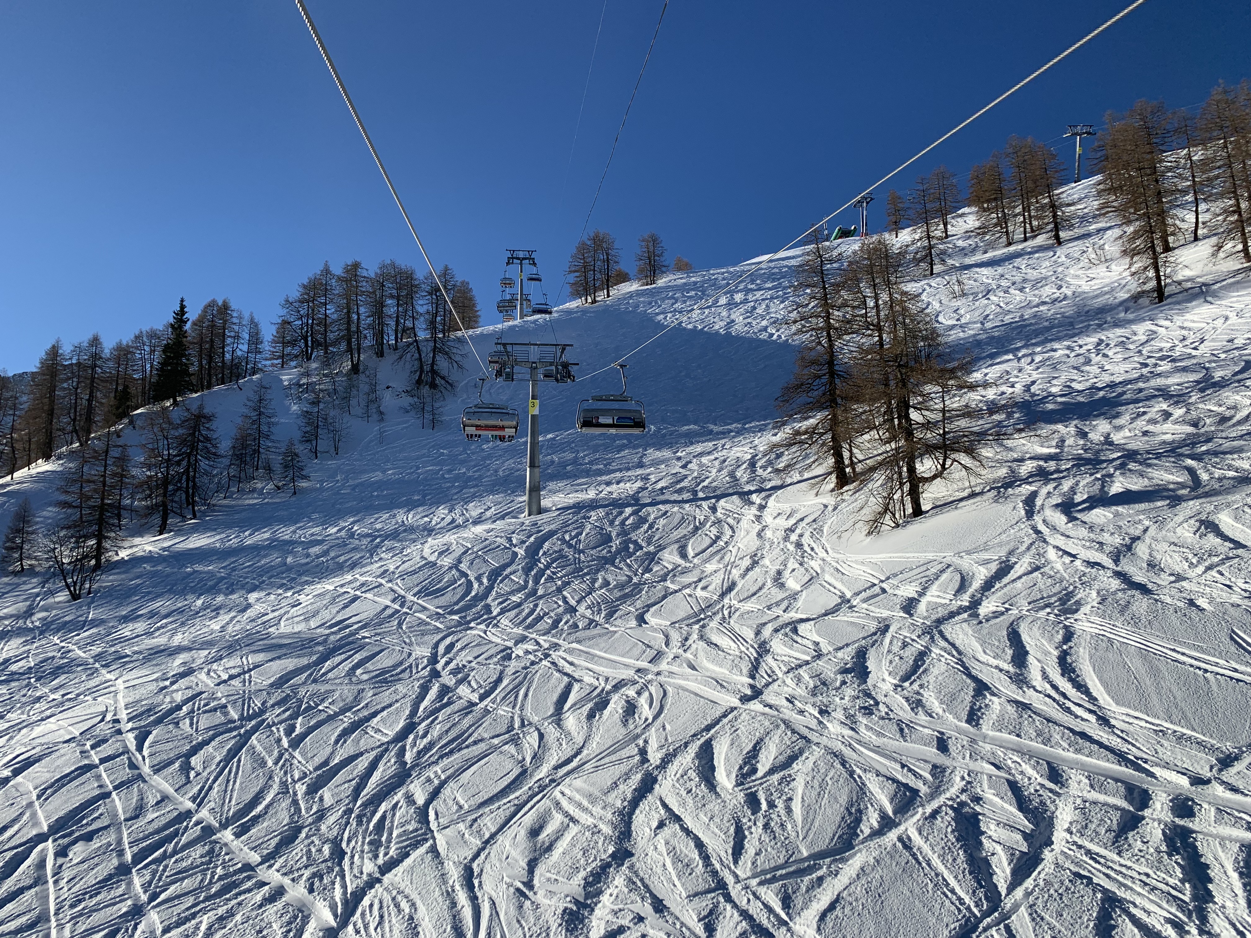 IMG-1068.jpg