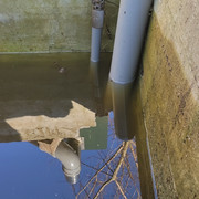 IMG-20220417-WA0010