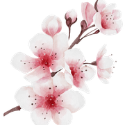 cherry-2