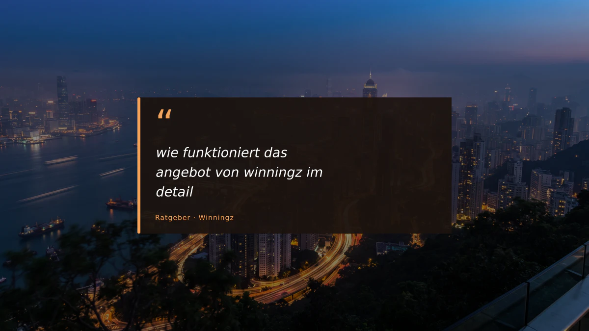 wie funktioniert das angebot von winningz im detail