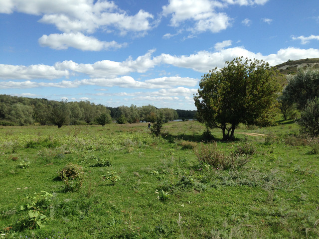 IMG-4123.jpg