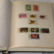 IMG-3967