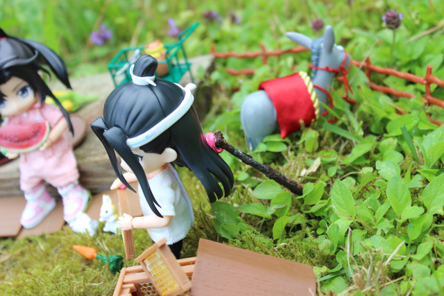 IMG-0580