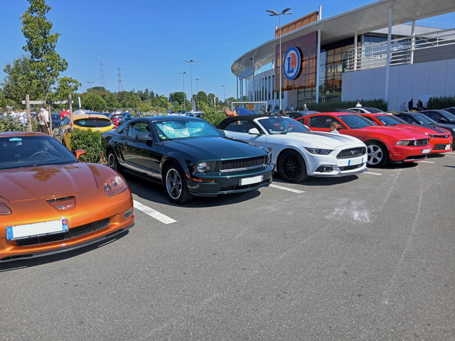 Mustangs