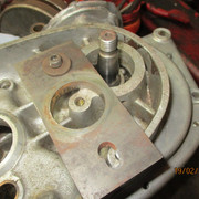 IMG-8282