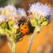 P3020922