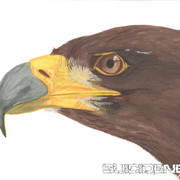Painting3