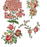 427ae9e436976df40baec663340e6cdd